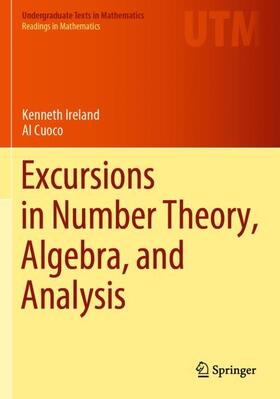 Cuoco / Ireland |  Excursions in Number Theory, Algebra, and Analysis | Buch |  Sack Fachmedien