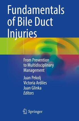 Pekolj / Glinka / Ardiles |  Fundamentals of Bile Duct Injuries | Buch |  Sack Fachmedien