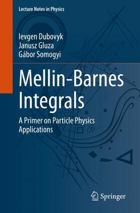 Dubovyk / Somogyi / Gluza |  Mellin-Barnes Integrals | Buch |  Sack Fachmedien