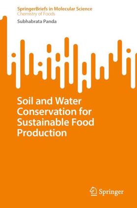 Panda |  Soil and Water Conservation for Sustainable Food Production | Buch |  Sack Fachmedien