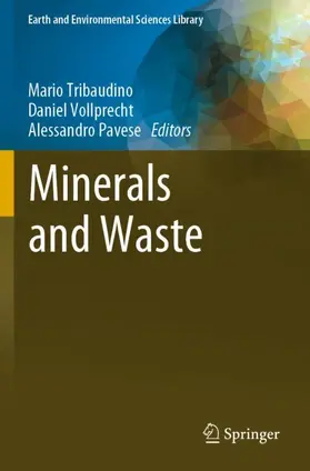 Tribaudino / Pavese / Vollprecht |  Minerals and Waste | Buch |  Sack Fachmedien