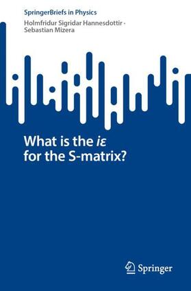 Mizera / Hannesdottir |  What is the i¿ for the S-matrix? | Buch |  Sack Fachmedien