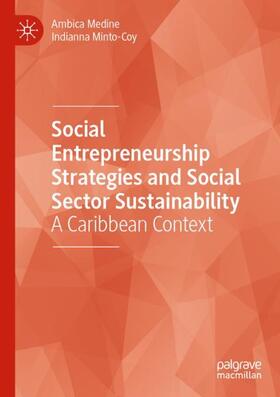 Minto-Coy / Medine |  Social Entrepreneurship Strategies and Social Sector Sustainability | Buch |  Sack Fachmedien