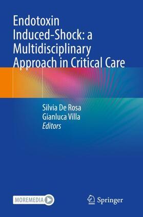 Villa / De Rosa |  Endotoxin Induced-Shock: a Multidisciplinary Approach in Critical Care | Buch |  Sack Fachmedien