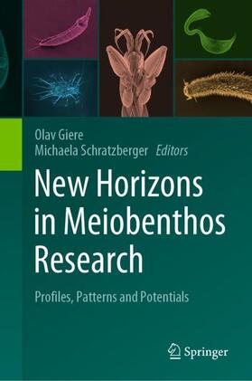 Schratzberger / Giere |  New Horizons in Meiobenthos Research | Buch |  Sack Fachmedien