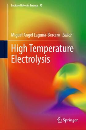 Laguna-Bercero |  High Temperature Electrolysis | Buch |  Sack Fachmedien