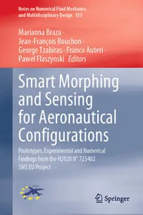 Braza / Rouchon / Tzabiras |  Smart Morphing and Sensing for Aeronautical Configurations | eBook | Sack Fachmedien