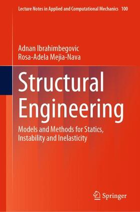 Mejia-Nava / Ibrahimbegovic |  Structural Engineering | Buch |  Sack Fachmedien