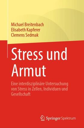 Breitenbach / Sedmak / Kapferer |  Stress und Armut | Buch |  Sack Fachmedien