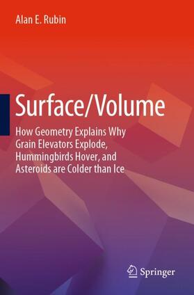 Rubin |  Surface/Volume | Buch |  Sack Fachmedien
