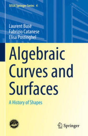 Busé / Catanese / Postinghel |  Algebraic Curves and Surfaces | eBook | Sack Fachmedien