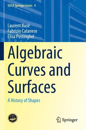 Busé / Postinghel / Catanese |  Algebraic Curves and Surfaces | Buch |  Sack Fachmedien