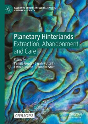 Gupta / Stuit / Nuttall |  Planetary Hinterlands | Buch |  Sack Fachmedien