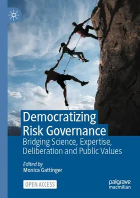 Gattinger |  Democratizing Risk Governance | Buch |  Sack Fachmedien