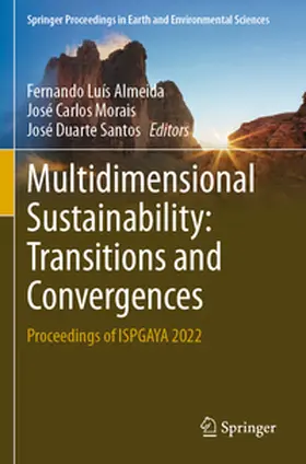 Almeida / Santos / Morais |  Multidimensional Sustainability: Transitions and Convergences | Buch |  Sack Fachmedien