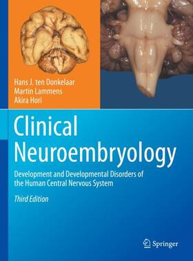 Hori / ten Donkelaar / Lammens |  Clinical Neuroembryology | Buch |  Sack Fachmedien