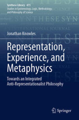 Knowles |  Representation, Experience, and Metaphysics | Buch |  Sack Fachmedien