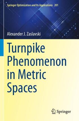 Zaslavski |  Turnpike Phenomenon in Metric Spaces | Buch |  Sack Fachmedien