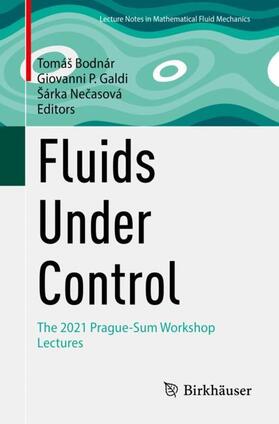 Bodnár / Necasová / Galdi |  Fluids Under Control | Buch |  Sack Fachmedien