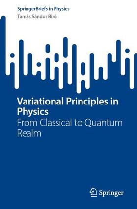 Biró |  Variational Principles in Physics | Buch |  Sack Fachmedien