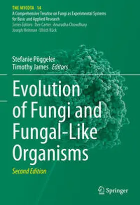 Pöggeler / James |  Evolution of Fungi and Fungal-Like Organisms | eBook | Sack Fachmedien