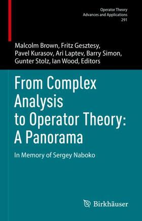 Brown / Gesztesy / Kurasov |  From Complex Analysis to Operator Theory: A Panorama | Buch |  Sack Fachmedien