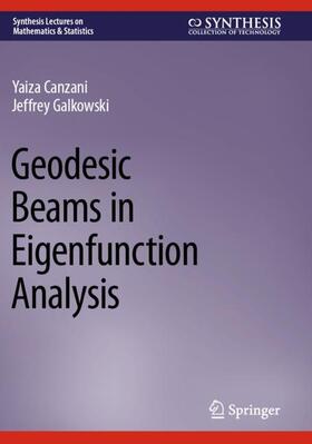 Galkowski / Canzani |  Geodesic Beams in Eigenfunction Analysis | Buch |  Sack Fachmedien