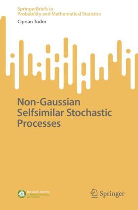 Tudor |  Non-Gaussian Selfsimilar Stochastic Processes | Buch |  Sack Fachmedien