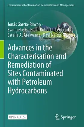 García-Rincón / Gatsios / Naidu |  Advances in the Characterisation and Remediation of Sites Contaminated with Petroleum Hydrocarbons | Buch |  Sack Fachmedien