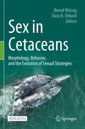 Orbach / Würsig |  Sex in Cetaceans | Buch |  Sack Fachmedien