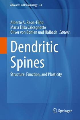 Rasia-Filho / von Bohlen und Halbach / Calcagnotto |  Dendritic Spines | Buch |  Sack Fachmedien