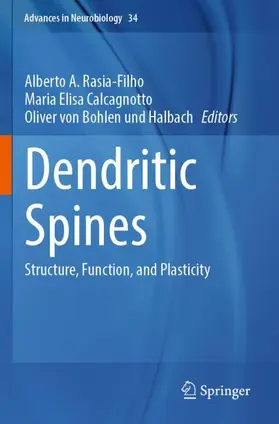 Rasia-Filho / von Bohlen und Halbach / Calcagnotto |  Dendritic Spines | Buch |  Sack Fachmedien