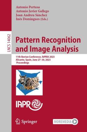 Pertusa / Domingues / Gallego |  Pattern Recognition and Image Analysis | Buch |  Sack Fachmedien