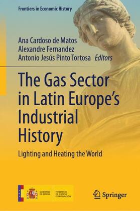 Cardoso de Matos / Jesús Pinto Tortosa / Fernandez |  The Gas Sector in Latin Europe¿s Industrial History | Buch |  Sack Fachmedien