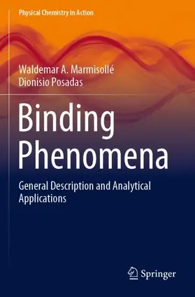 Posadas / Marmisollé |  Binding Phenomena | Buch |  Sack Fachmedien