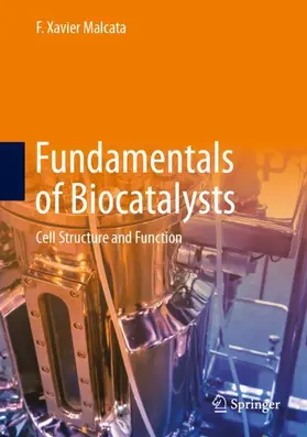 Malcata |  Fundamentals of Biocatalysts | Buch |  Sack Fachmedien