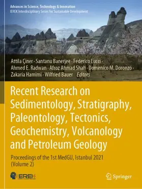 Çiner / Banerjee / Lucci |  Recent Research on Sedimentology, Stratigraphy, Paleontology, Tectonics, Geochemistry, Volcanology and Petroleum Geology | Buch |  Sack Fachmedien