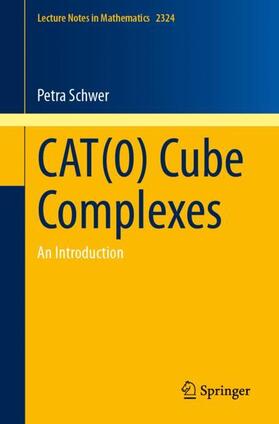 Schwer |  CAT(0) Cube Complexes | Buch |  Sack Fachmedien