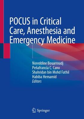 Bouarroudj / Hemamid / Cano |  POCUS in Critical Care, Anesthesia and Emergency Medicine | Buch |  Sack Fachmedien