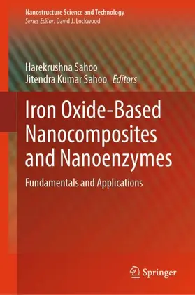 Sahoo |  Iron Oxide-Based Nanocomposites and Nanoenzymes | Buch |  Sack Fachmedien