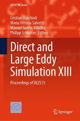 Marchioli / Salvetti / Garcia-Villalba |  Direct and Large Eddy Simulation XIII | Buch |  Sack Fachmedien