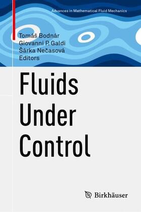 Bodnár / Necasová / Galdi |  Fluids Under Control | Buch |  Sack Fachmedien