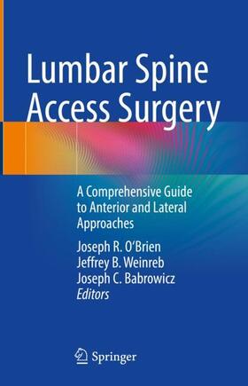 O'Brien / Babrowicz / Weinreb |  Lumbar Spine Access Surgery | Buch |  Sack Fachmedien