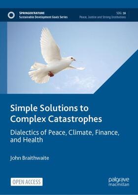 Braithwaite |  Simple Solutions to Complex Catastrophes | Buch |  Sack Fachmedien