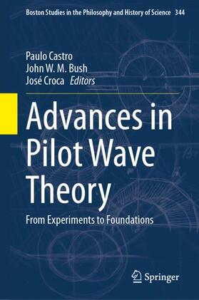 Castro / Croca / Bush |  Advances in Pilot Wave Theory | Buch |  Sack Fachmedien