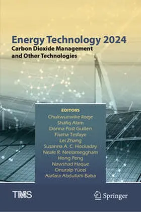 Iloeje / Alam / Yücel | Energy Technology 2024 | E-Book | sack.de