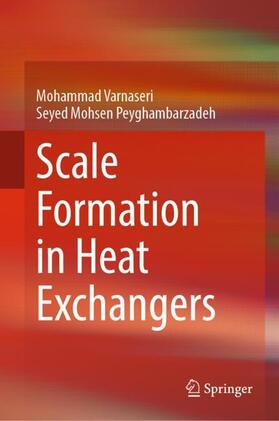 Peyghambarzadeh / Varnaseri |  Scale Formation in Heat Exchangers | Buch |  Sack Fachmedien