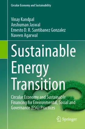 Kandpal / Agarwal / Jaswal |  Sustainable Energy Transition | Buch |  Sack Fachmedien