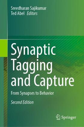 Abel / Sajikumar |  Synaptic Tagging and Capture | Buch |  Sack Fachmedien