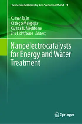 Raju / Makgopa / Modibane |  Nanoelectrocatalysts for Energy and Water Treatment | eBook | Sack Fachmedien